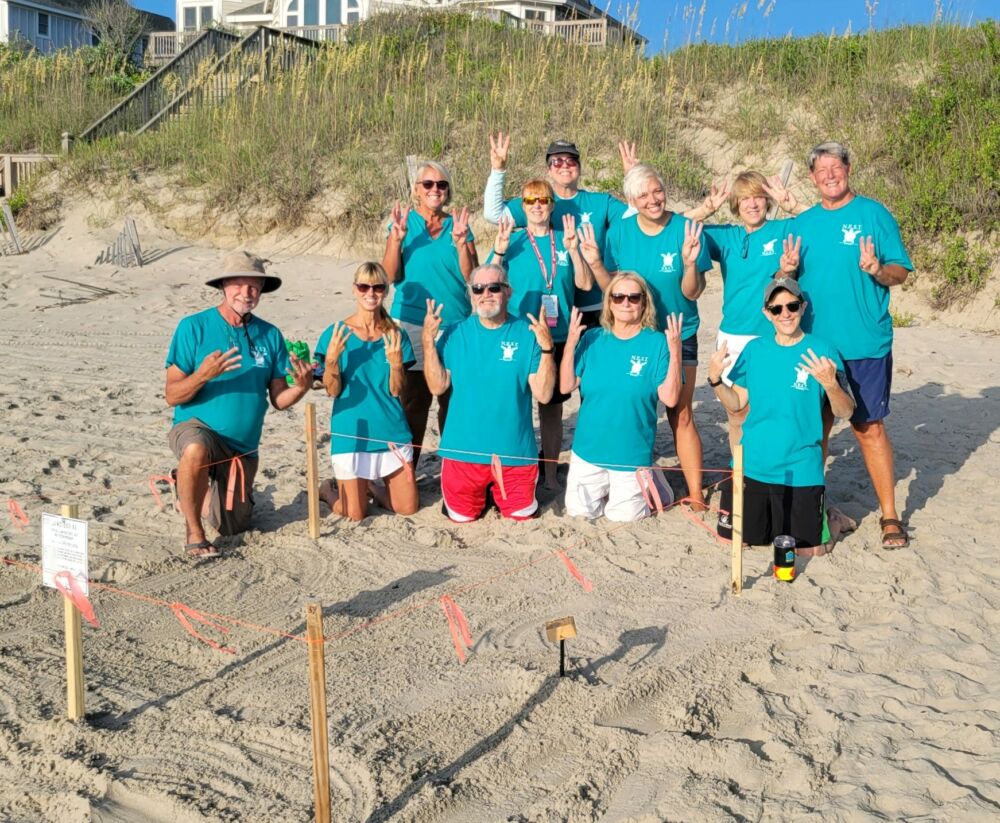 Outer Banks Active Sea Turtle Nest Status - NEST, OBX NC